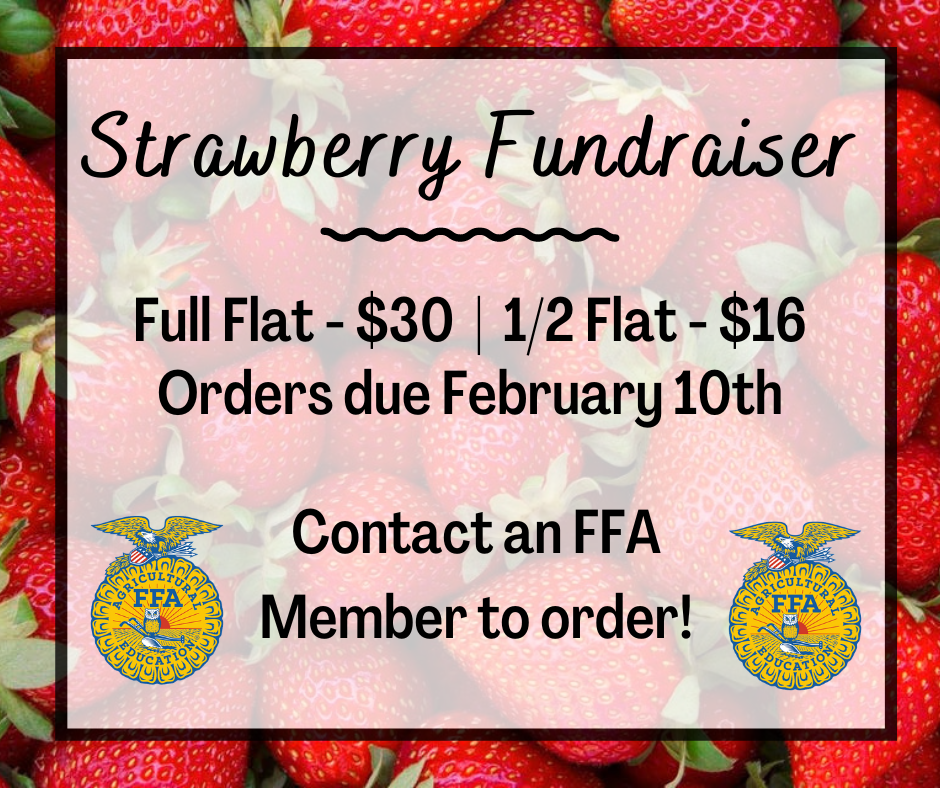 FFA Strawberry Fundraiser Flyer