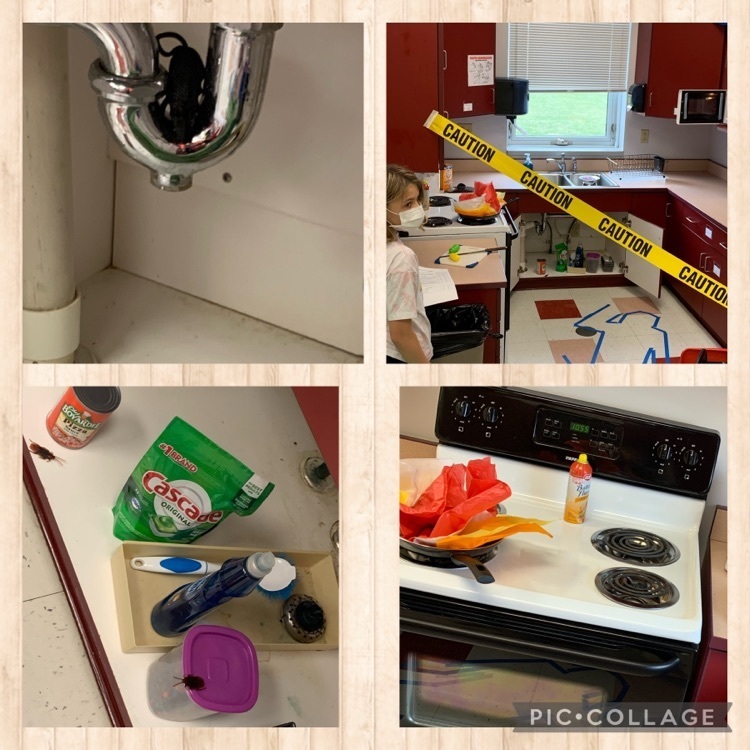 CSI in FACS